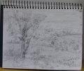 DSC05077